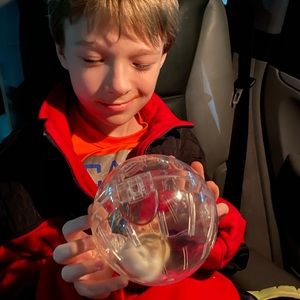 Meet your Posher, Bridgette